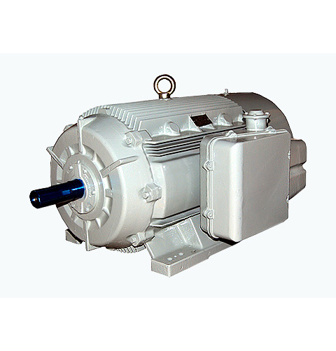 Electrical-motor