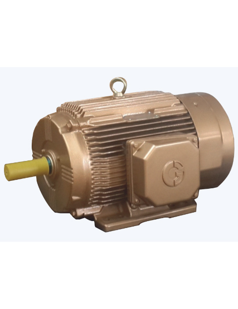 Electrical-motor