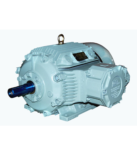 Electrical-motor
